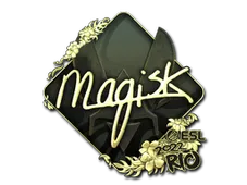 Skin's image