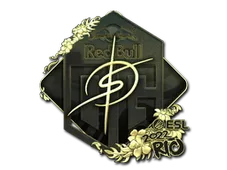 Sticker | degster (Gold) | Rio 2022