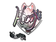 Skin's image