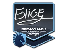 Sticker | EliGE | Cluj-Napoca 2015
