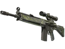 Skin's image