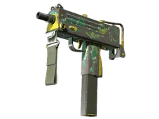 Skin's image