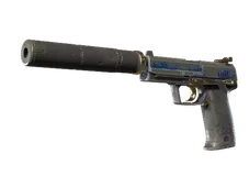 Skin's image