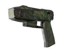 Skin's image