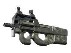 Skin's image