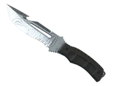 Skin's image