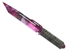 Skin's image