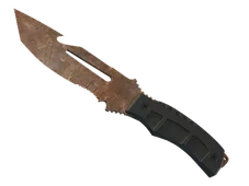 Skin's image