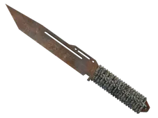 Skin's image