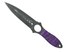 Skin's image