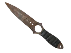 Skin's image