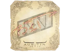 Skin's image
