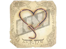 Skin's image