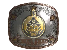 Skin's image