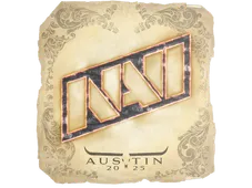Skin's image