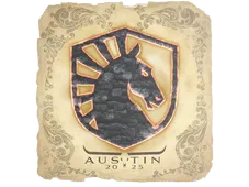 Skin's image