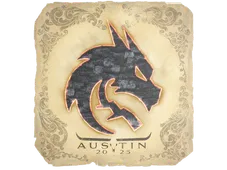 Skin's image