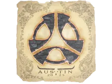 Skin's image