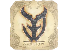 Skin's image