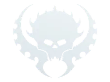 Skin's image