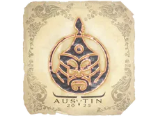 Skin's image