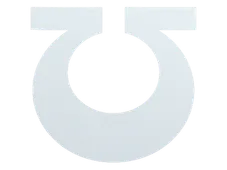 Skin's image