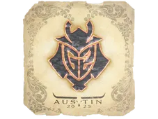 Skin's image