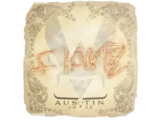 Skin's image