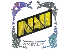 Skin's image