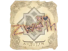 Skin's image