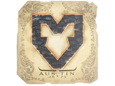 Skin's image