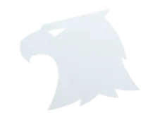 Skin's image