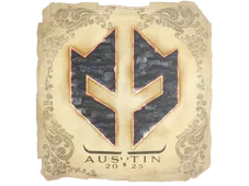 Skin's image