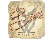 Skin's image
