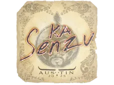 Skin's image