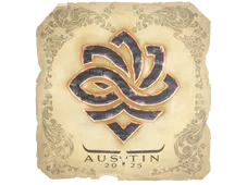 Skin's image