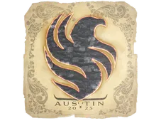 Skin's image