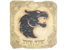 Skin's image