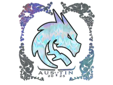 Skin's image