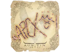 Skin's image