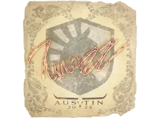 Skin's image