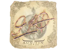 Skin's image