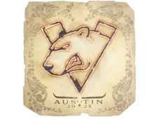 Skin's image