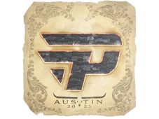 Skin's image