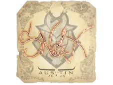 Skin's image