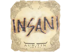 Skin's image