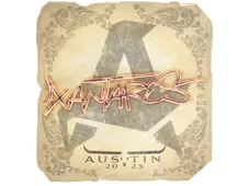 Skin's image
