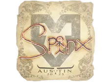 Skin's image