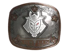 Skin's image