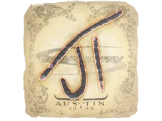 Skin's image